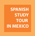 Spanish Study Tour in Mexico