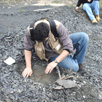 UC student hunting for fossils on field expedition