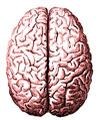 UC Psychology