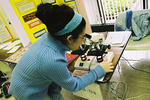 Science Fair Last Minute Touches