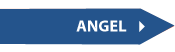 ANGEL Course Management System login