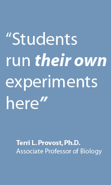 Students run their own experiments here