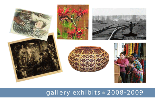 Barrett Gallery Exhibits 2008-09