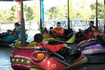 Carnival