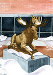 UC Moose - Class of 2005 Gift