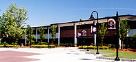 Addison Miller White Hall