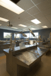 Anatomy lab in Romano Hall