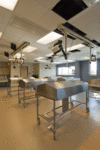 Anatomy lab in Romano Hall