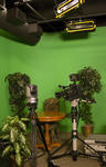 Studio green screen