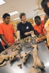 Sociology and Anthropology at Utica College