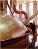 FX Matt Brewery