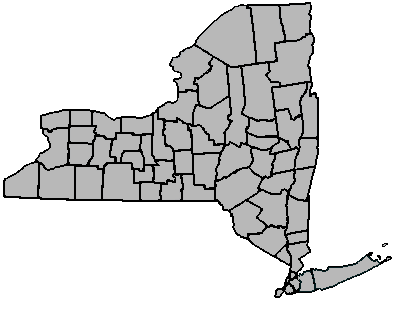 New York Counties