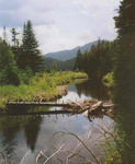 Cold River Valley in Adirondack Park