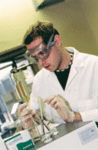 Learning in one of UC's labs