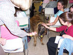 Child Life Conference 2005