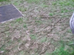rainandmud
