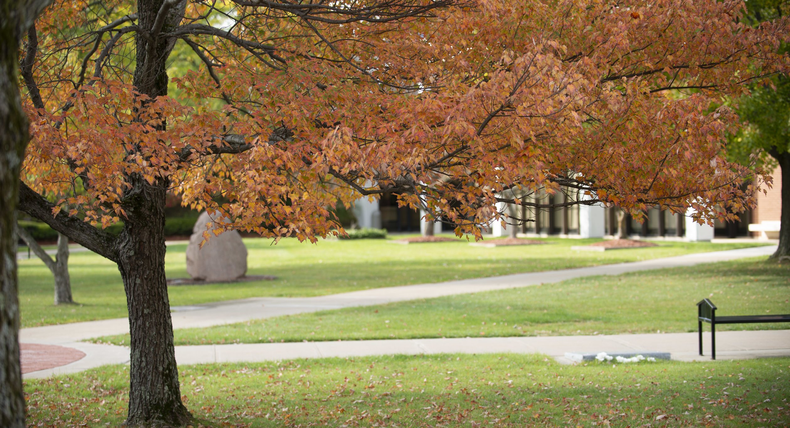 Campus Scenic - Fall 2015-64 Courtyard