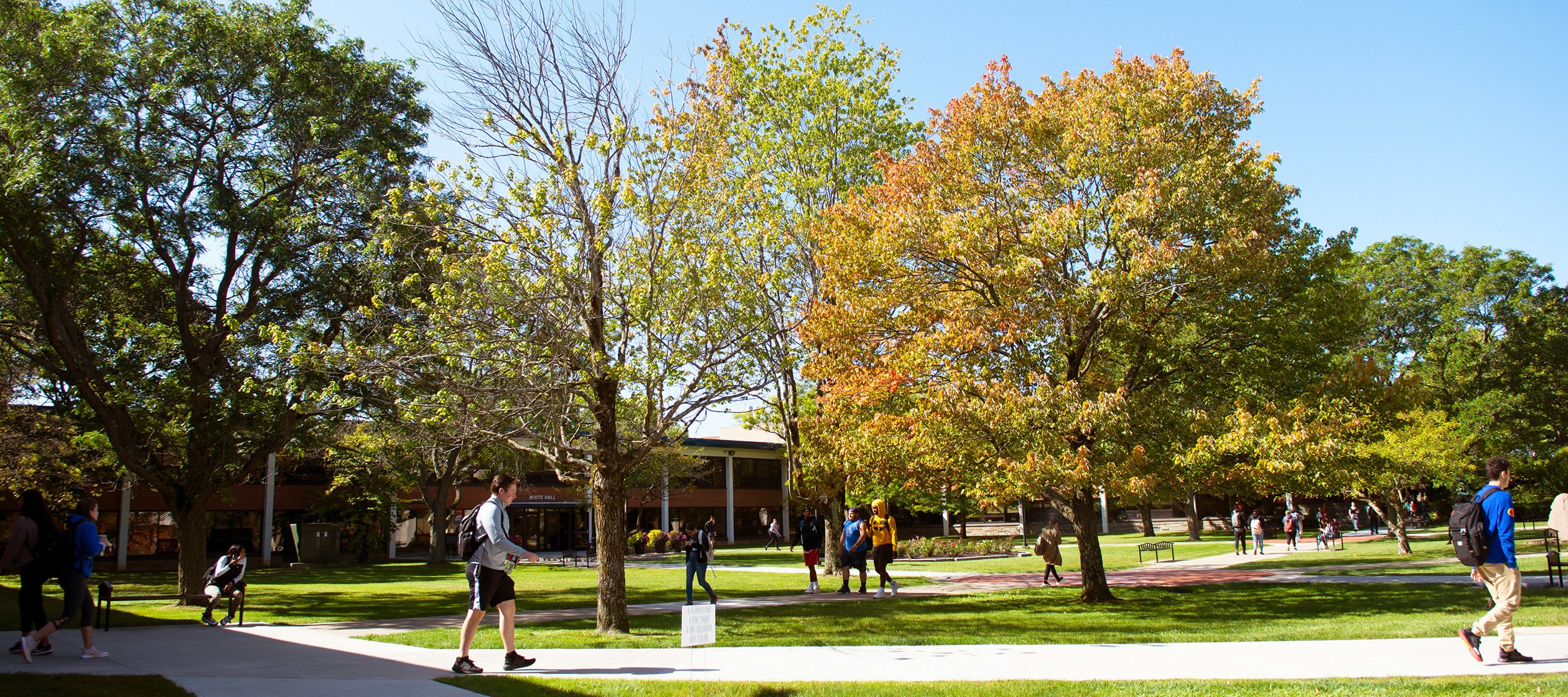 Utica College campus