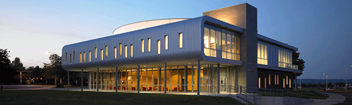 Faculty - Fraud and Financial Crime Investigation