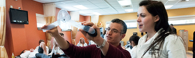 Physical Therapy Faculty
