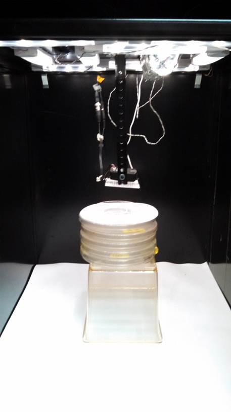 Apparatus used in fruit fly light pollution research