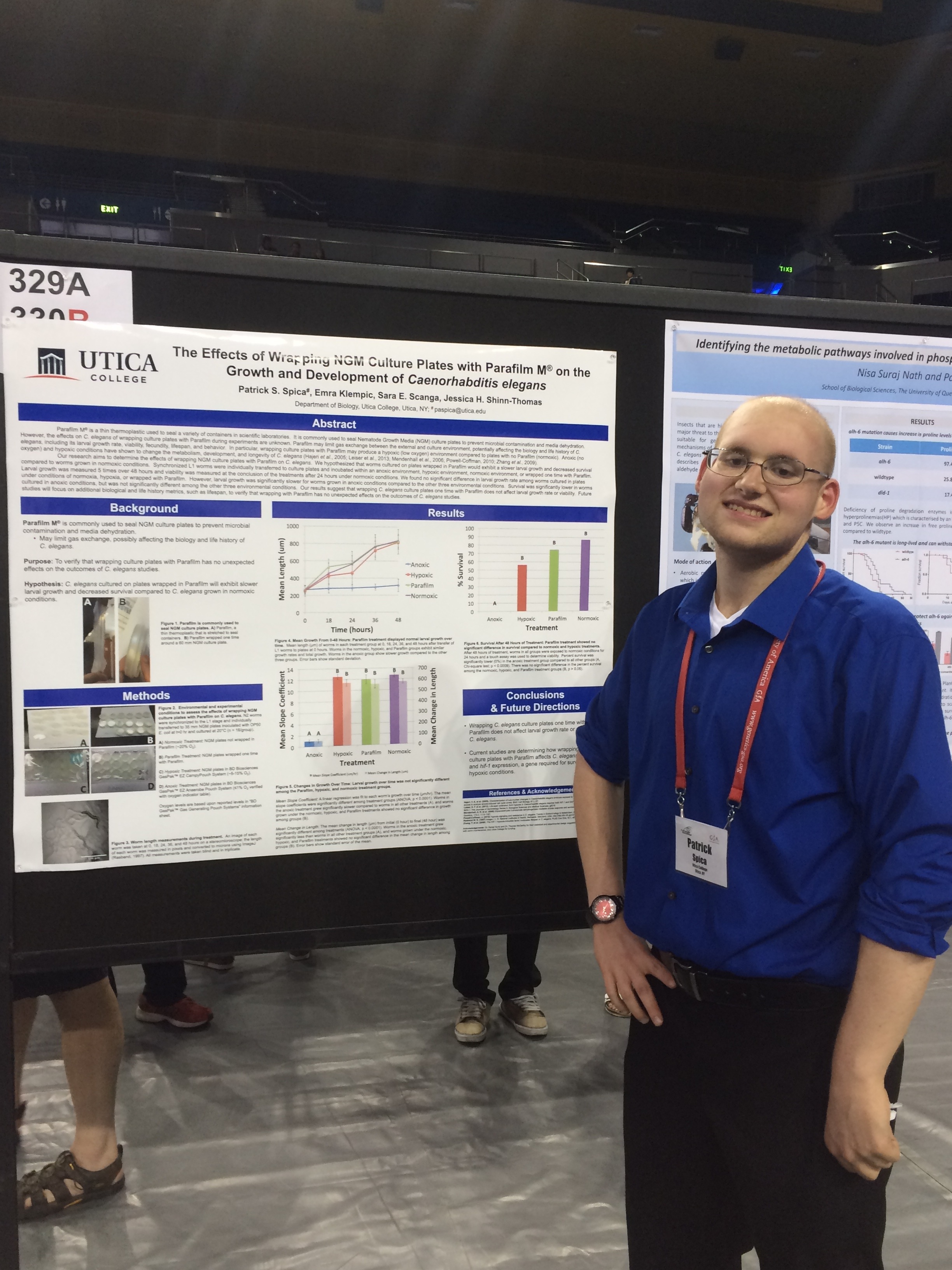 Patrick Spica at IWM 2015