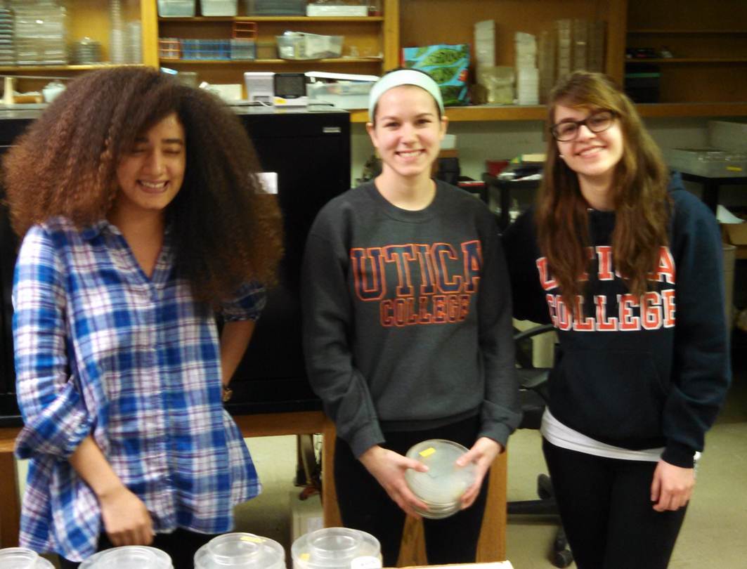 Tiffany Cabrera, Abby Shaible, and Jasmina Samardzic