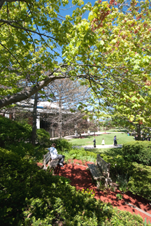 Garden on the UC Campus