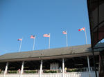 Saratoga Races