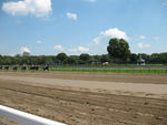 Saratoga Races