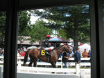 Saratoga Races