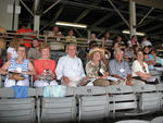 Saratoga Races