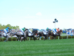 Queen's Cup