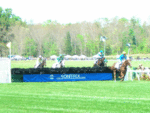 Queen's Cup