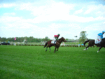 Queen's Cup