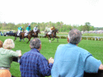 Queen's Cup