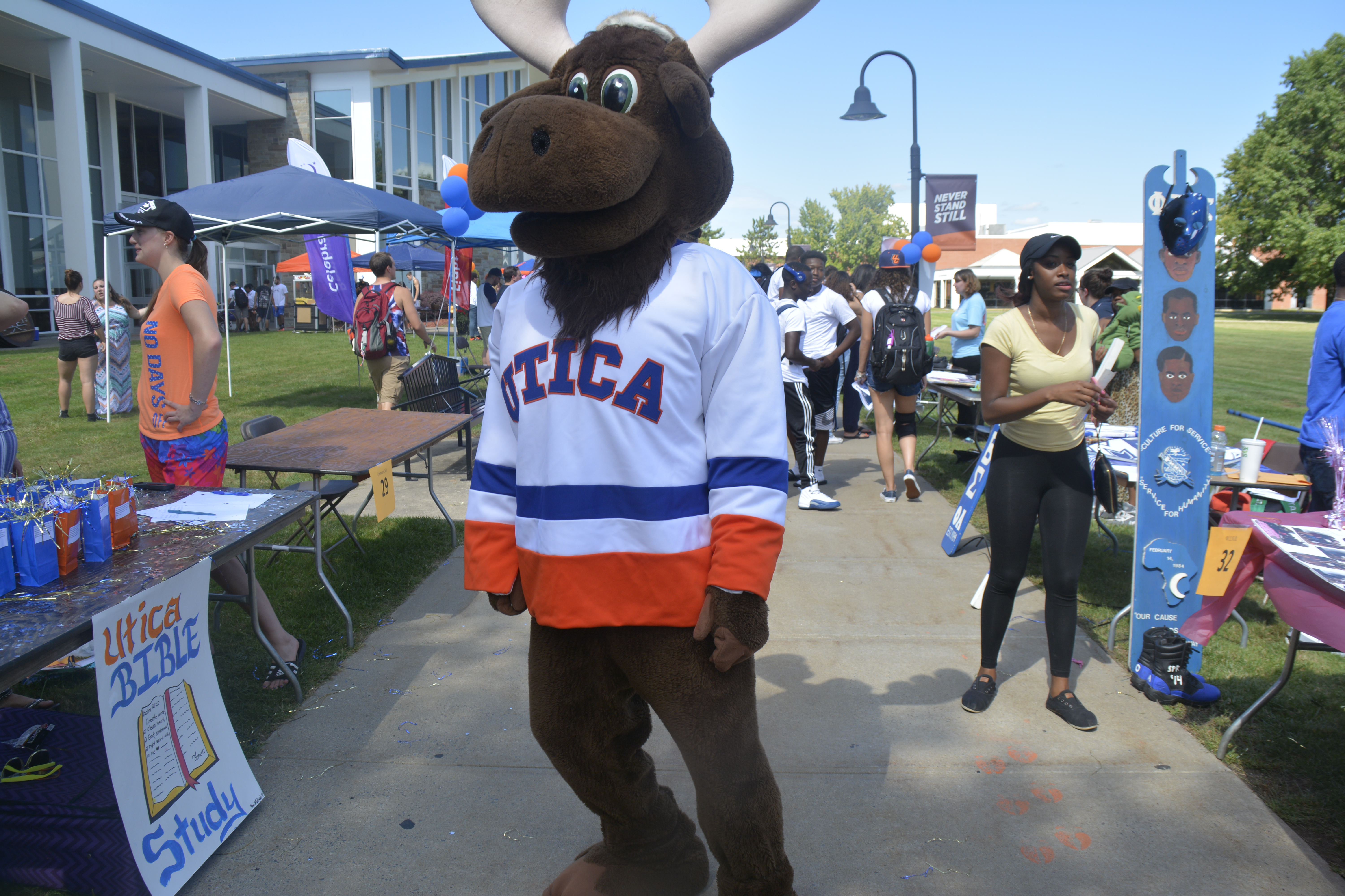 involvement fair