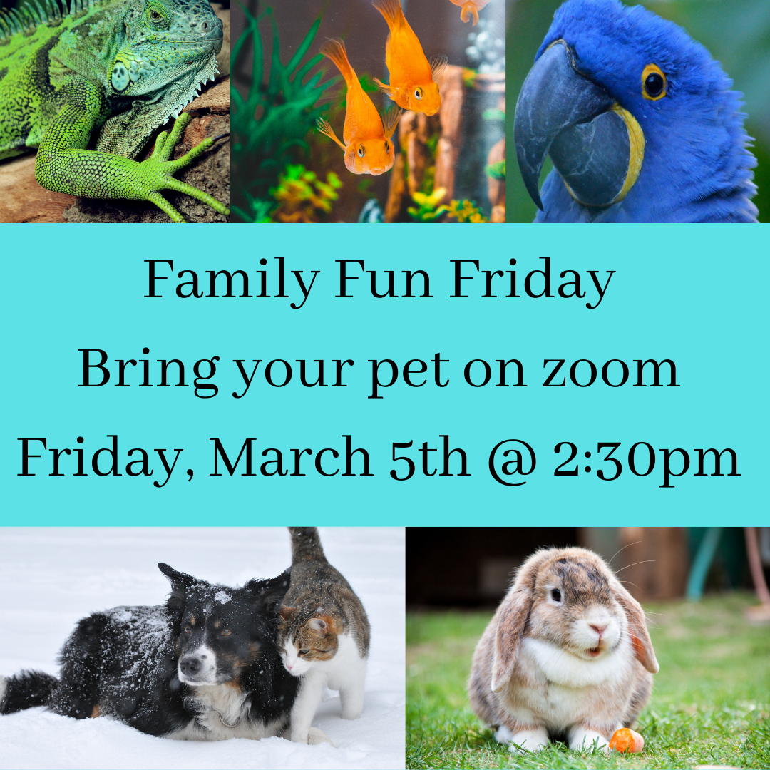 A flier for Family Fun Friday featuring a dog, lizard, fish, rabbit, and bird. 