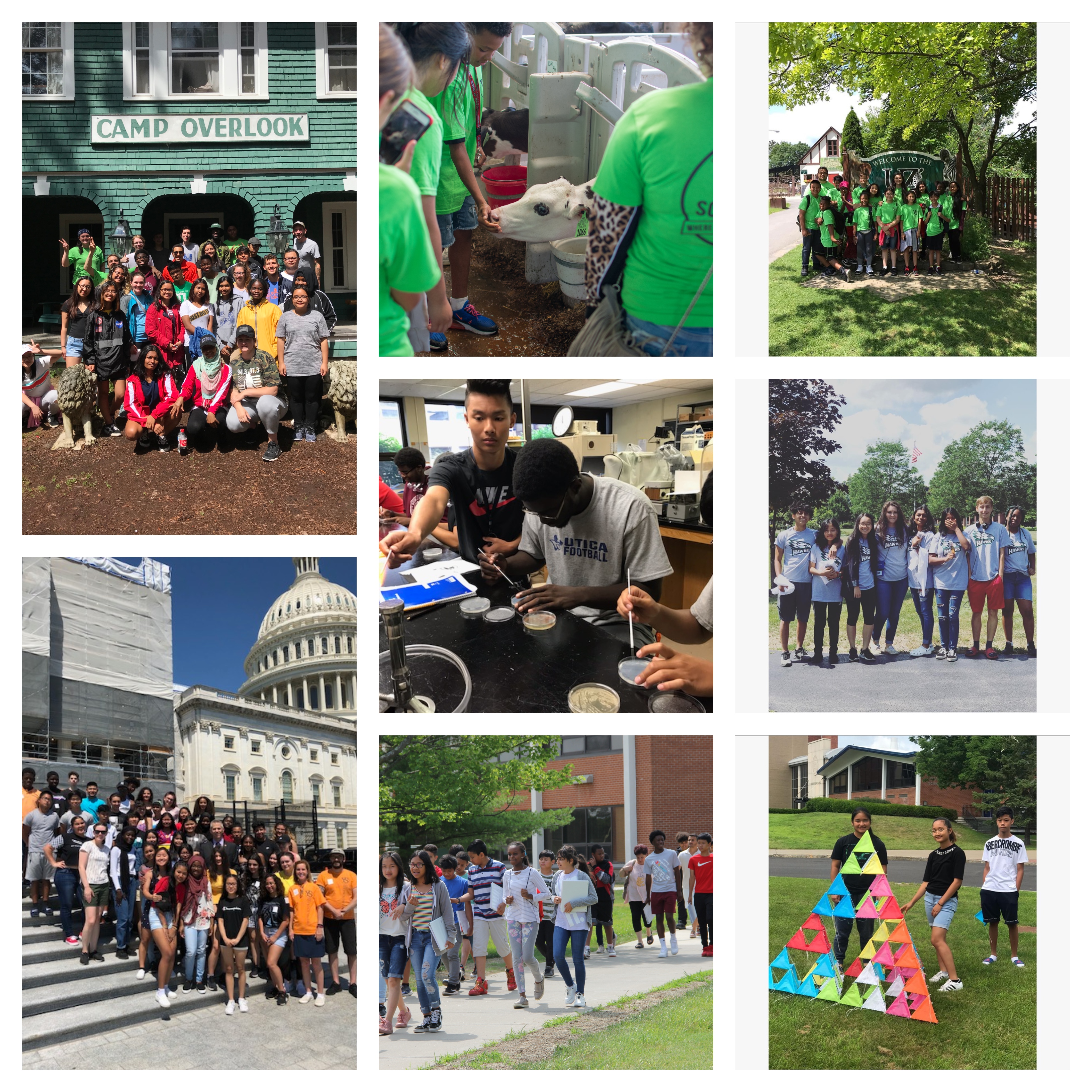 Collage of Various Activities Young Scholars Engaged in Throughout Summer 2019