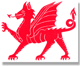 Welsh Griffin