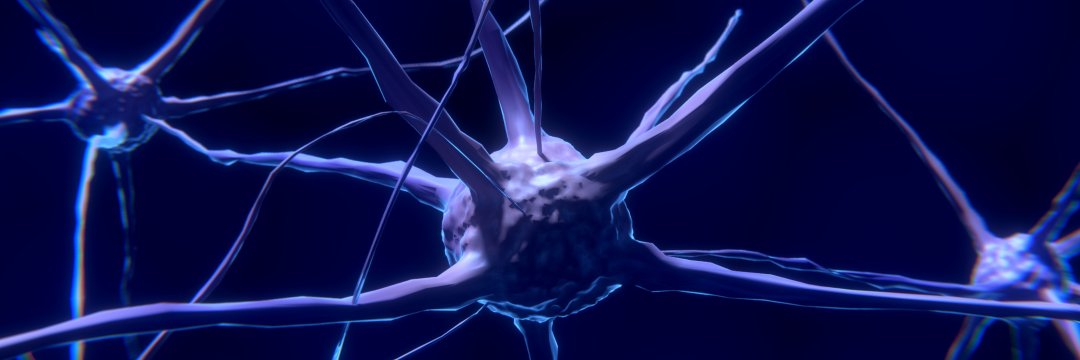 nerve cell science generic