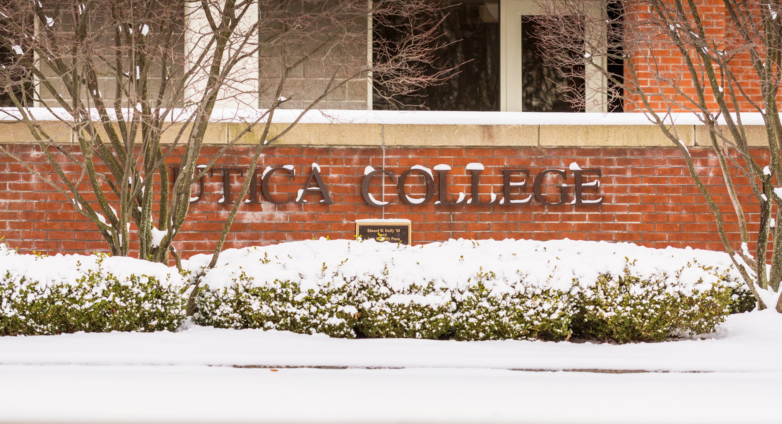 Utica College