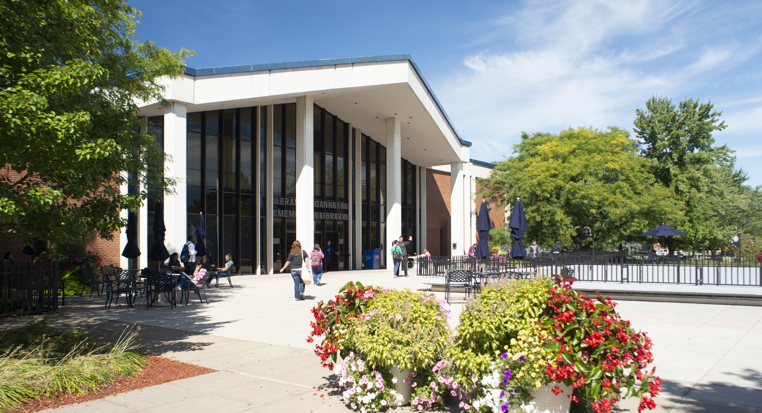 Library Building - Sunny