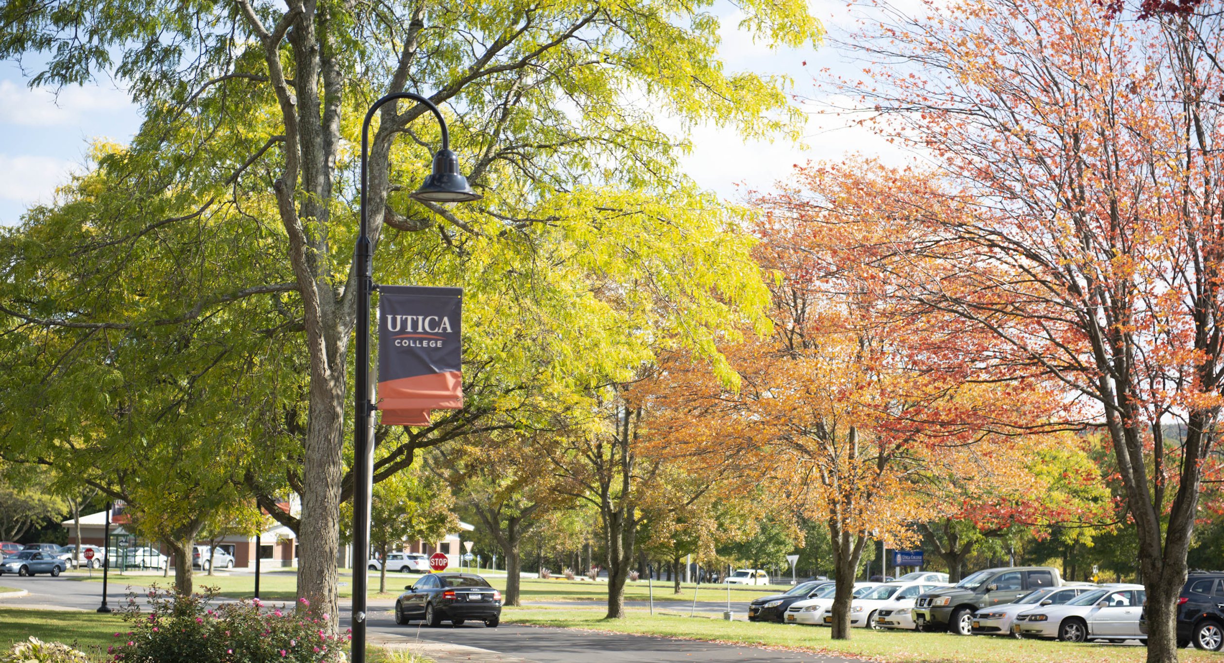 Campus Scenic Fall - Parking Lot Cars
