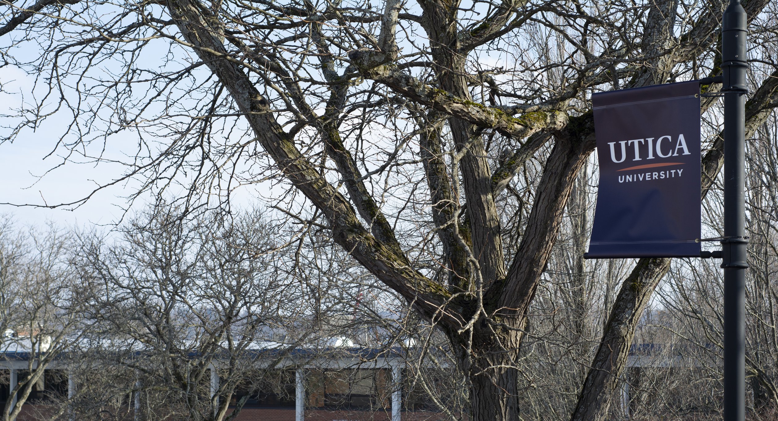 A blue Utica University banner overlooks the courtyard.