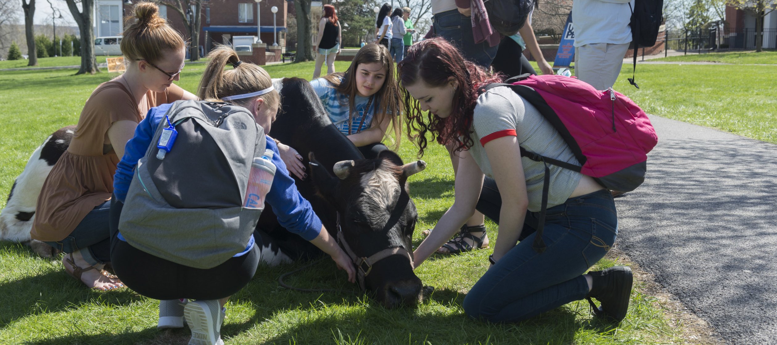 Students at Petting_Zoo 014