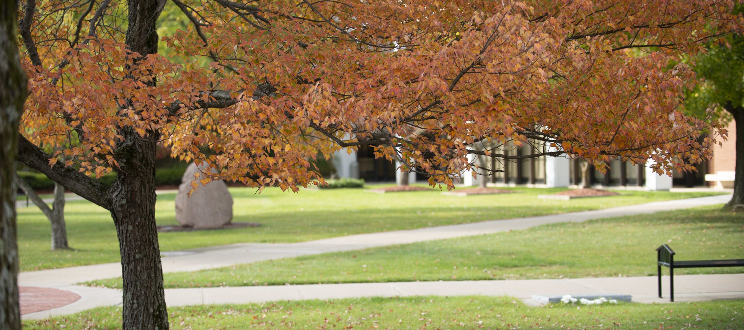 Campus Scenic - Fall 2015-64 Courtyard