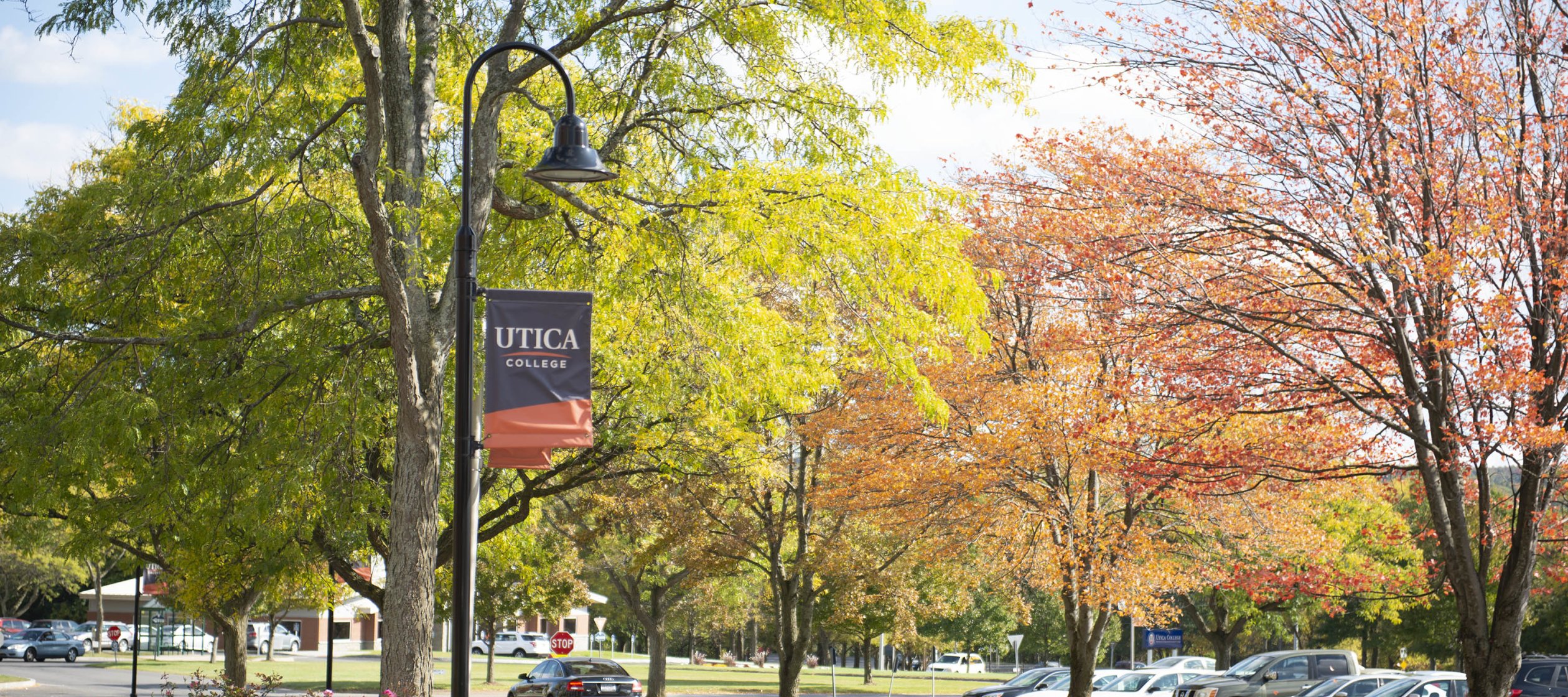 Campus Scenic Fall - Parking Lot Cars