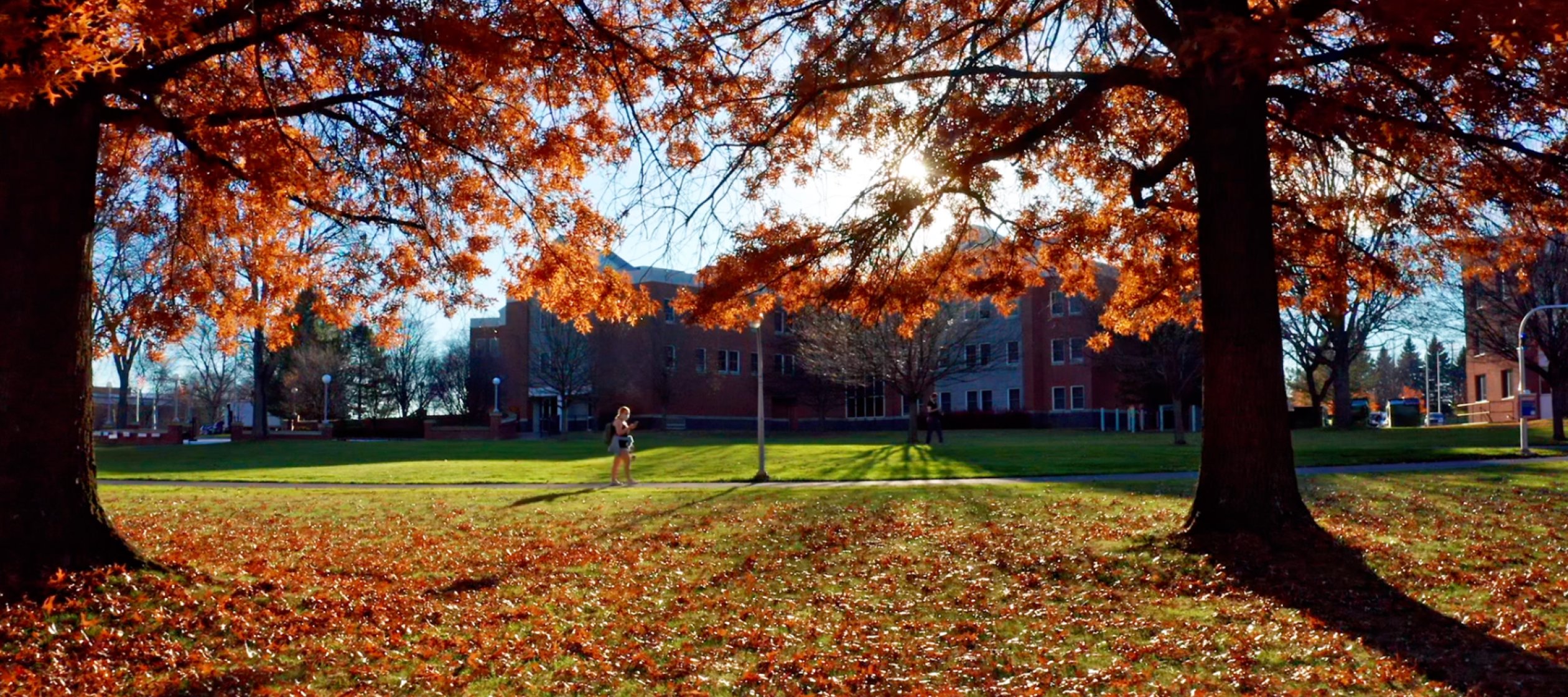 Utica College