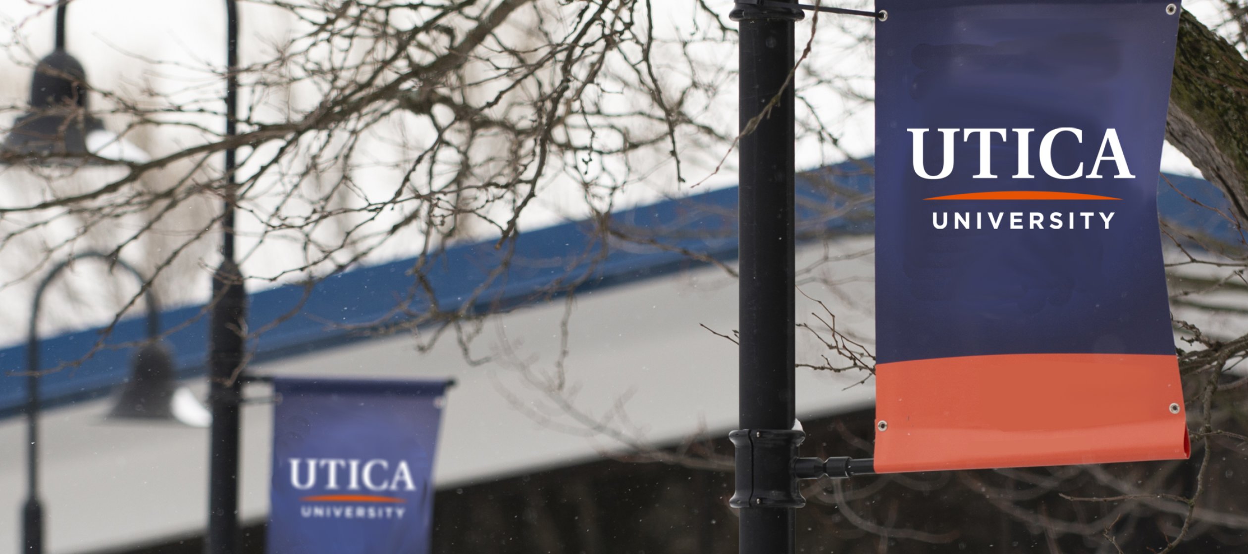 Utica college financial aid Databricks aktiemarknad